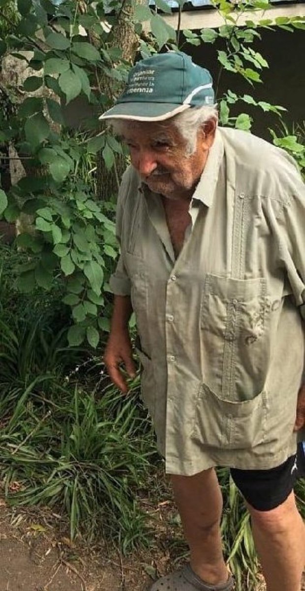 @nbritos tweet media