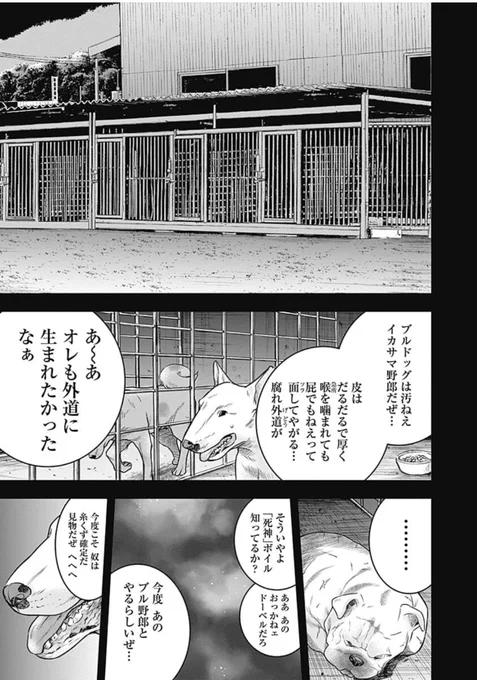 犬🐕同士の会話とは思えない下衆台詞のチョイス、これぞ平山節…!w(ダイナー  15巻) 2コマ目のあ〜あ俺も外道に生まれたかったなぁが大好きw