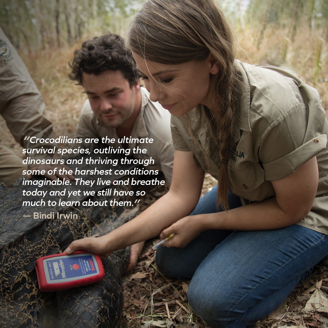 It’s an incredible honour to continue Steve’s important work, studying crocodiles to better understand & protect them. Now more than ever, we need apex predators to maintain the balance of Earth’s ecosystems. We are determined to continue this valuable science for years to come.