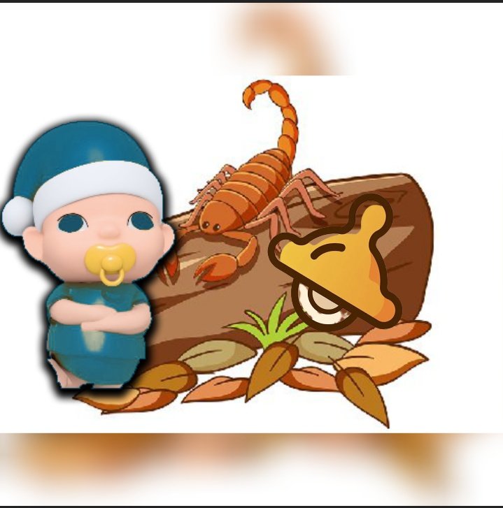 #BabyWonderland