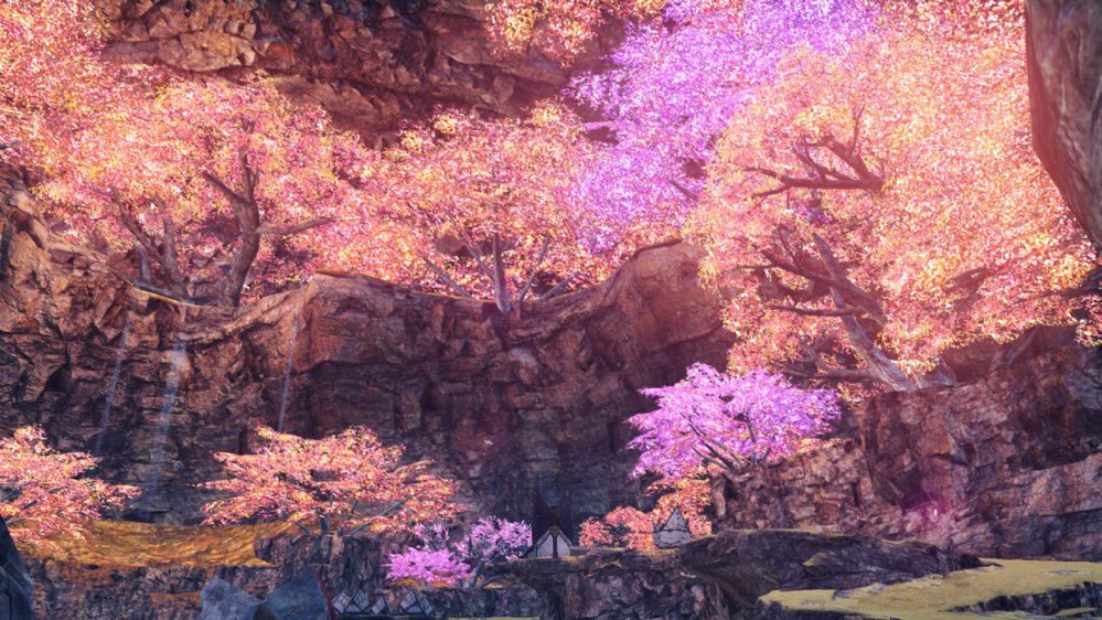 misproword's tweet photo. These saffronia trees are always so beautiful to watch https://t.co/nKJ3zfij8U