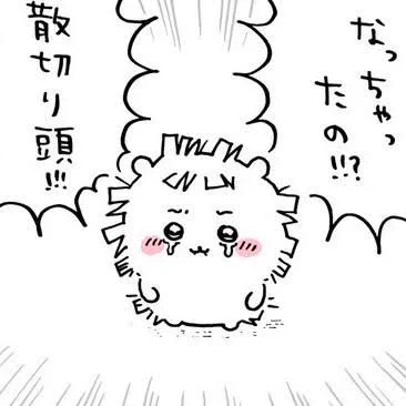 @mlwhlw これと同じにしてください!!! 