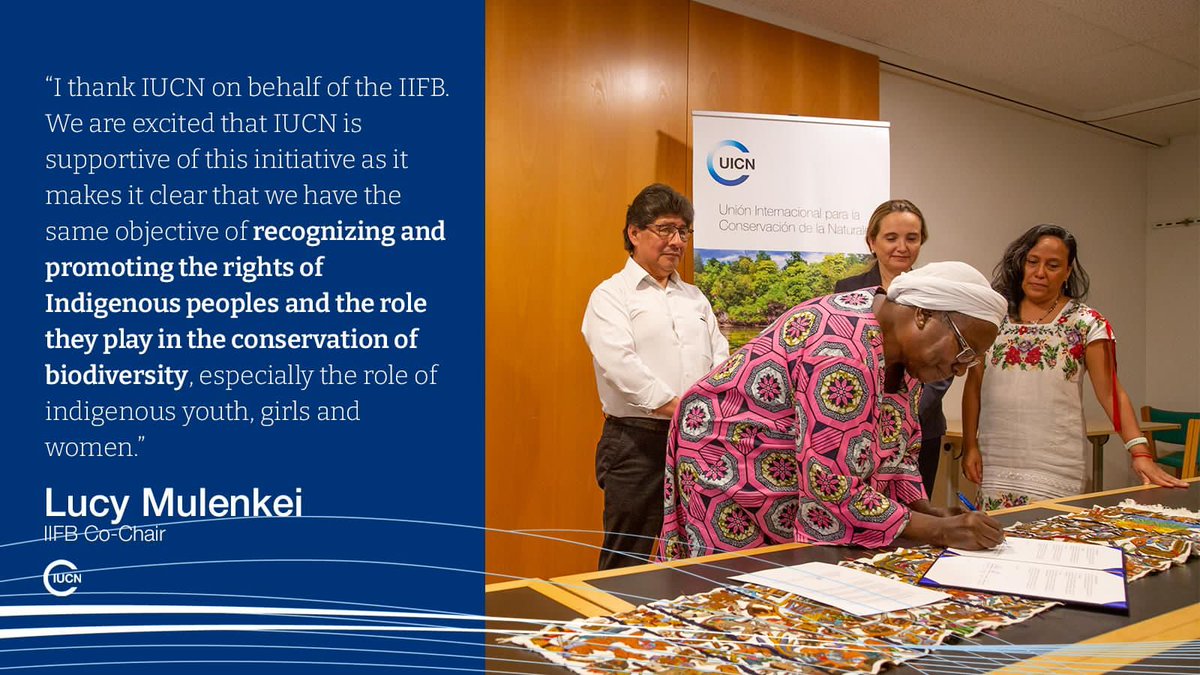 mulenkei's tweet photo. The 9th August has been a special day for indigenous Peoples. We from the International Indigenous Forum on Biodiversity (IIFB )with Our Partner IUCN share messages that are key to enhancing  work together when we start a journey to implement the Global Biodiversity Framework https://t.co/WgGsAb9pyC