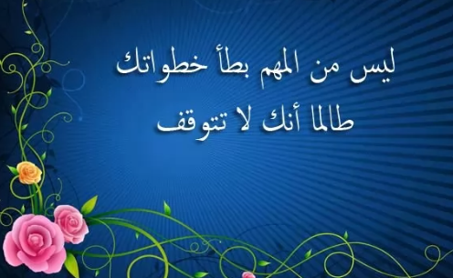 ليس من المهم بطأ خطواتك طالما أنك لا تتوقف