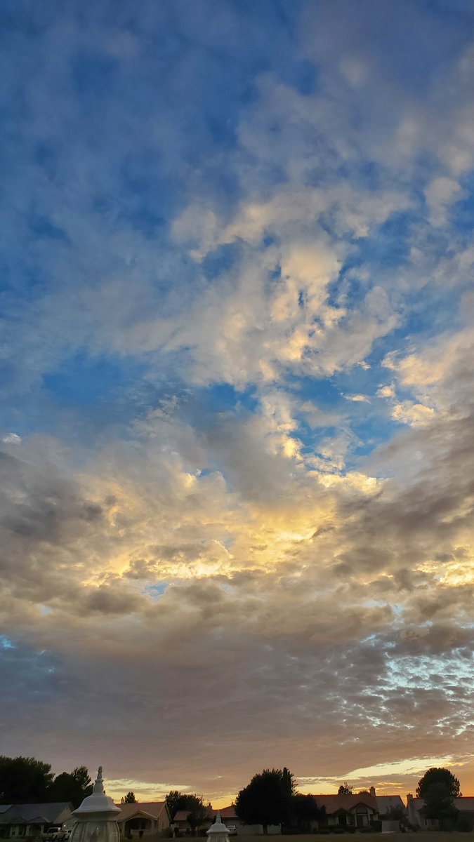 sunny_joni's tweet photo. After a desert rain #SoCalSummer https://t.co/WQxsz9lUfM
