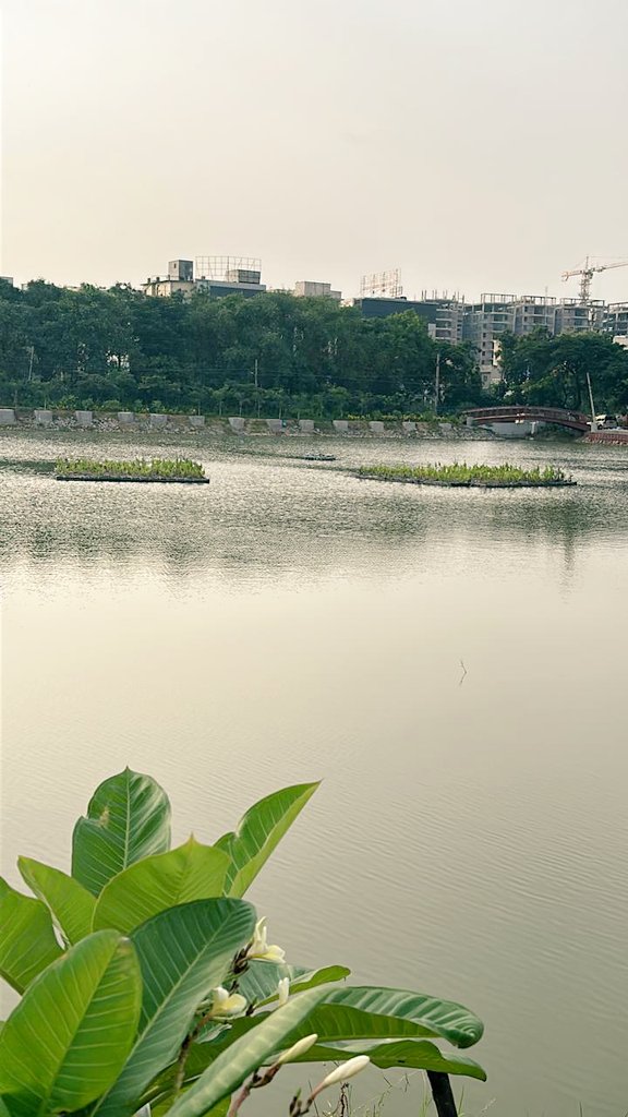 ZC_Kukatpally1's tweet photo. Relaxing fresh water lake space in qutubullapur cirlce. #Kukatpally zone. Developed greenery,  walking track, children play space, yoga zone and many more. #GHMC 

@KTRBRS 
@arvindkumar_ias 
@GadwalvijayaTRS 
@CommissionrGHMC https://t.co/3iu0zHcG6j