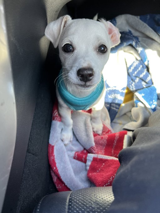 😩 I mean COME ON https://t.co/kECYlZ3O8q<a href="/tag/weebtrash"class="tags"><span>#weebtrash</span></a>