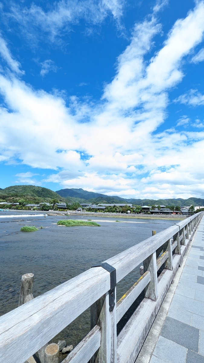 「去年の高校卒業後の旅行を懐かしながら嵐山へ行きました #夏のM旅行FINAL」||Mさん|🐍♥🐻のイラスト