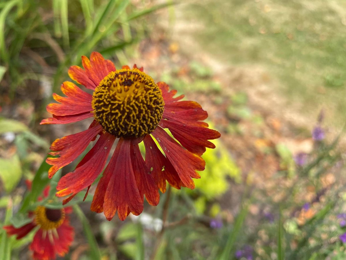 Stephen Parker tweet media