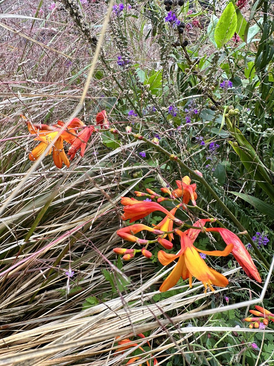 Stephen Parker tweet media