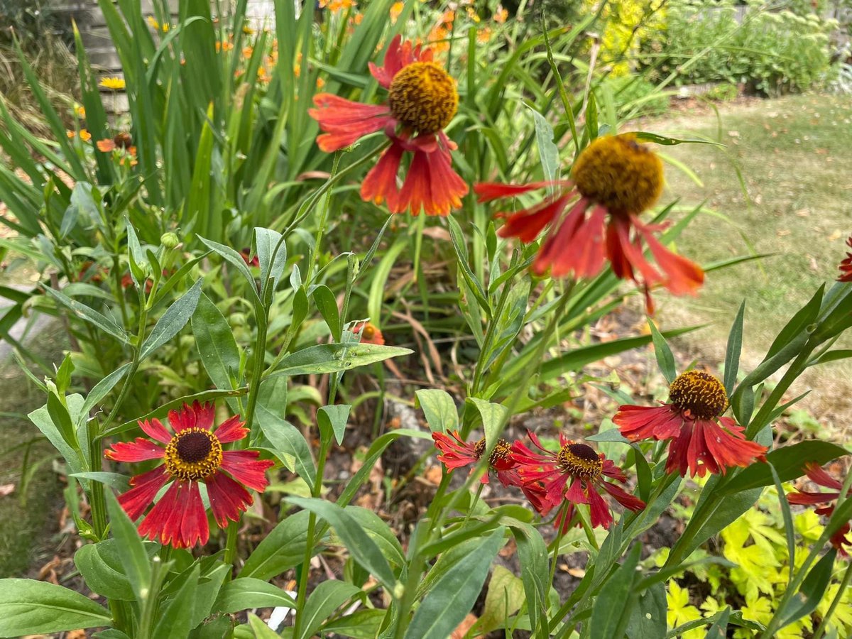 Stephen Parker tweet media