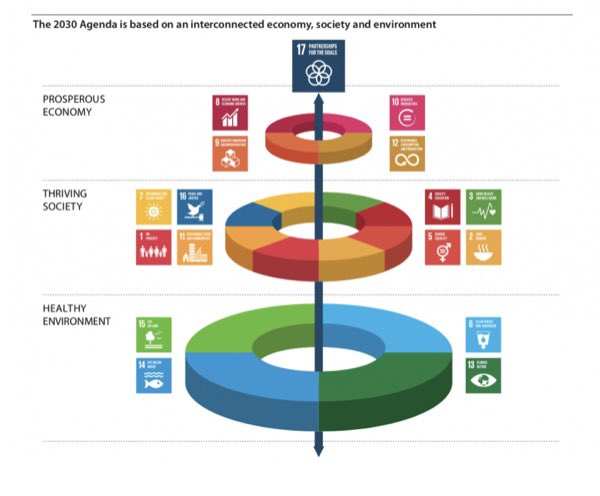 Encouraging Youth Leadership on SDGs Through Transforming Education sdg.iisd.org/commentary/gue…