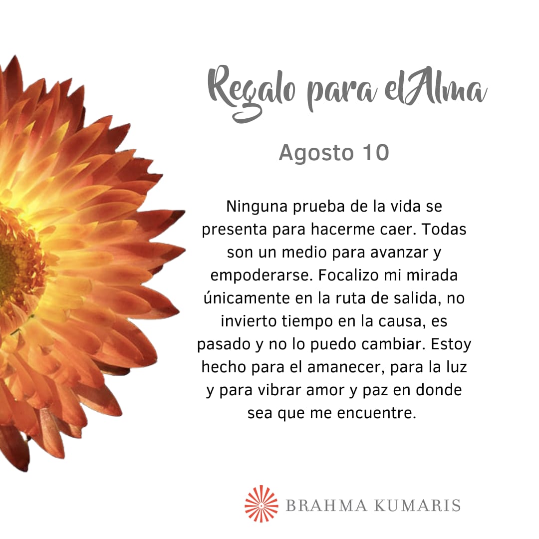 Ruben Duque (@rubendu72372138) on Twitter photo 