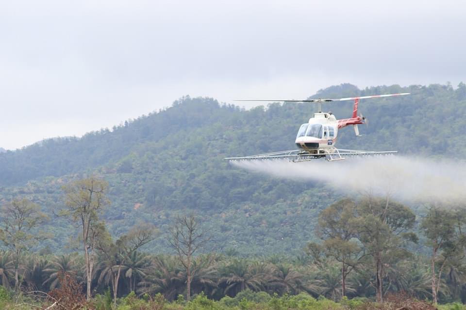 FeldaLKTP's tweet photo. Demo helikopter kawalan UPD di FELDA Besout 1
#segalanyaFELDA #Basmi
#UlatPemakanDaun https://t.co/I0Rcx4abZt
