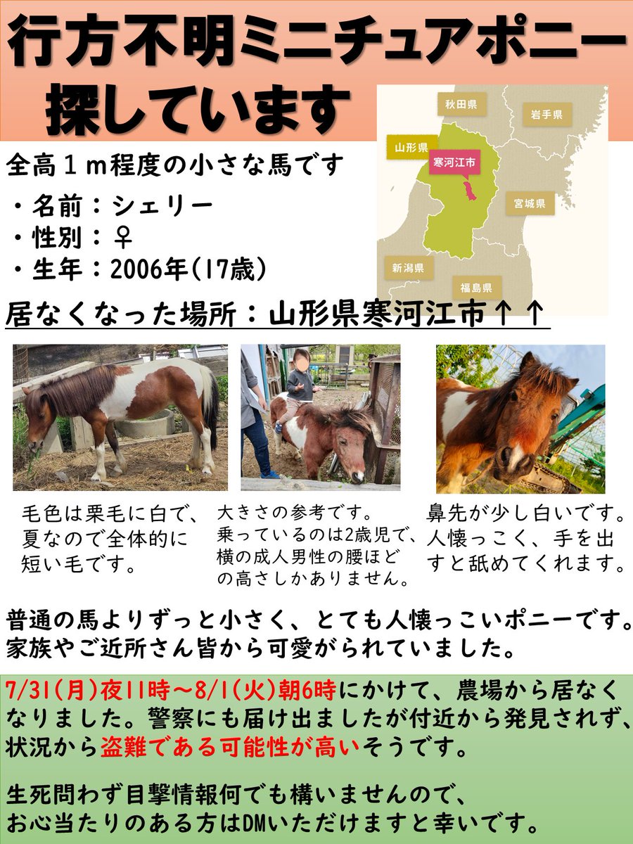 農場で飼っていたポニーが行方不明になりました。
心当たりのある方、どんな些細な情報でも構いませんのでDM頂けたら有難いです🙇

藁をも縋る思いで拡散希望です、
お目汚し大変失礼します。
#ミニチュアポニー
#探しています #拡散希望 
#拡散希望RT協力お願いします
#山形県寒河江市 #寒河江市