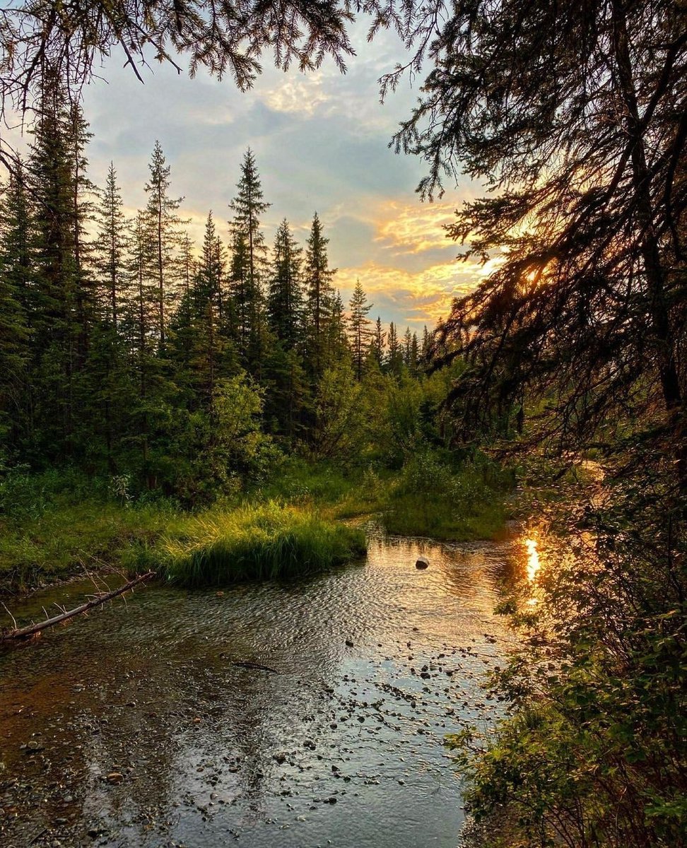 Heiracci's tweet image. T-minus 36 hours. 📌  Alberta, CA. 
#OilGuy