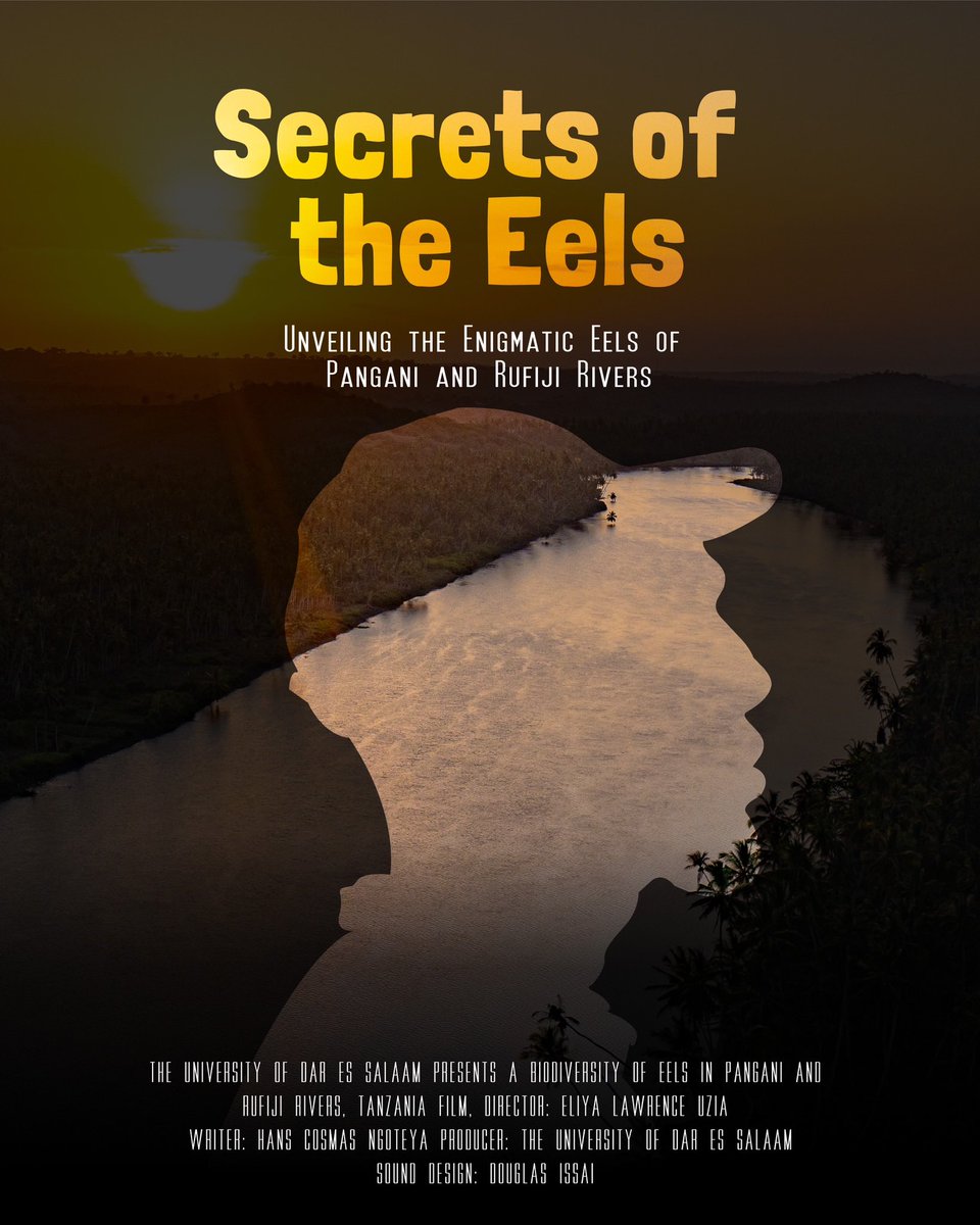 KaijageLaurian's tweet photo. Why conserve anguillid eels
1. Only long distance catadromous fish in WIO
2. Semalporous
3. Umbrella species for aquatic environment conservation
4. Near threatened species #iucnredlist
#insidenatgeo #Africarefocused #newfcommunity #storytelling https://t.co/n5cp9p2ONx