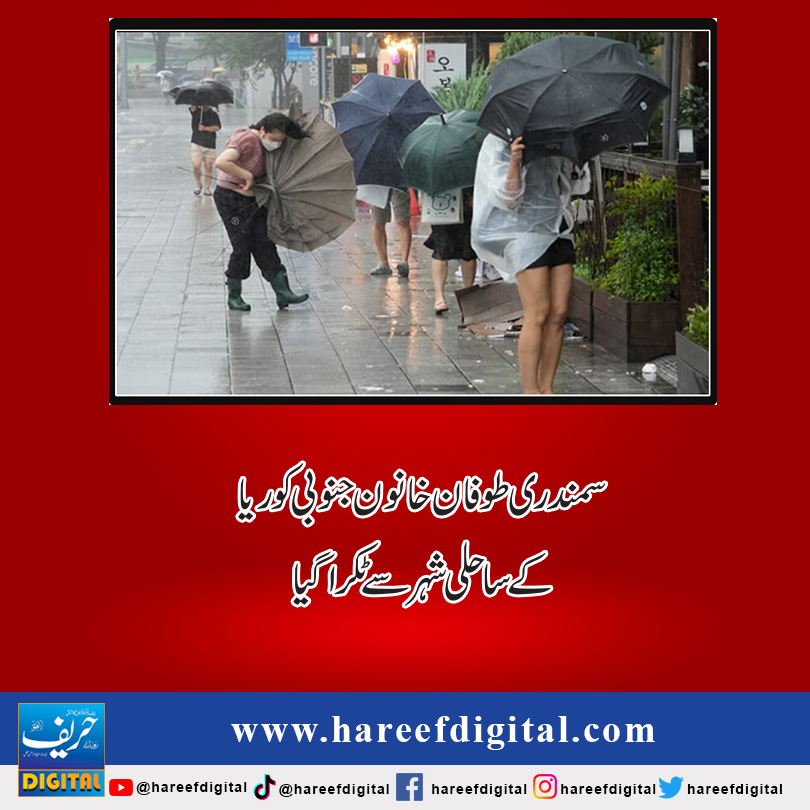 سمندری طوفان خانون جنوبی کوریا کے ساحلی شہر سے ٹکرا گیا
hareefdigital.com/typhoon-khanon…
#hareefdigital
#Pakistan
#typhoon
#Khanon
#southkorea
#SouthKorea2023
#southkoreanews