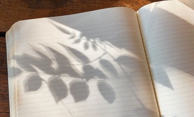 AcademiaDreams's tweet image. 