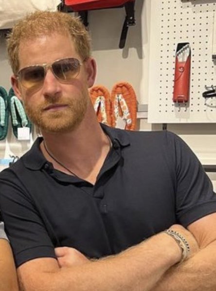 SussexReal's tweet photo. @MikeSington He's soo good at this. Look what the petty, jealous ones - who can't share the stage - have pushed away and have lost big time. As Princess Diana said, he is #GoodKingHarry.  Indeed! https://t.co/rivL1YvEcX