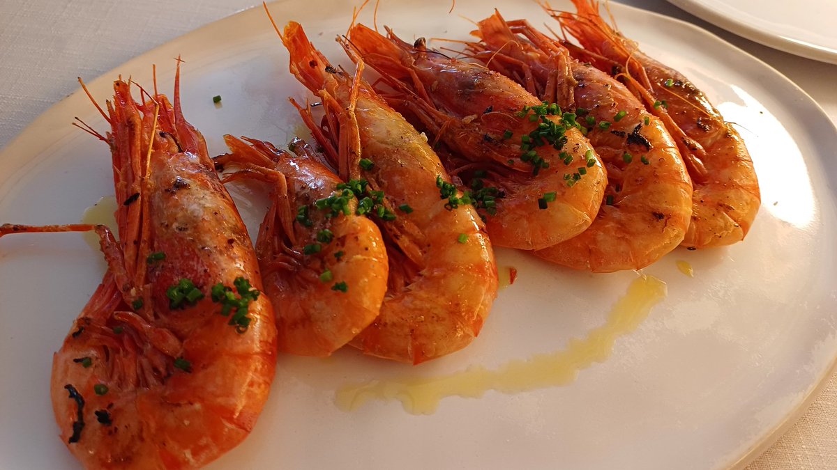 mariocanora's tweet photo. Lo del @VICUSrestaurant 
Remanso de paz, rica cocina, servicio cuidado y ganas de agradar.
Ojo a ese morro de bacalao y a su carta de vinos.
#Pals #Girona https://t.co/FRd9CtVyBC