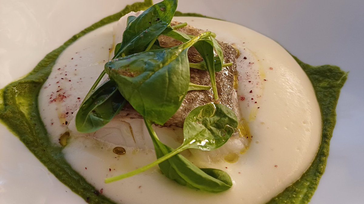 mariocanora's tweet photo. Lo del @VICUSrestaurant 
Remanso de paz, rica cocina, servicio cuidado y ganas de agradar.
Ojo a ese morro de bacalao y a su carta de vinos.
#Pals #Girona https://t.co/FRd9CtVyBC