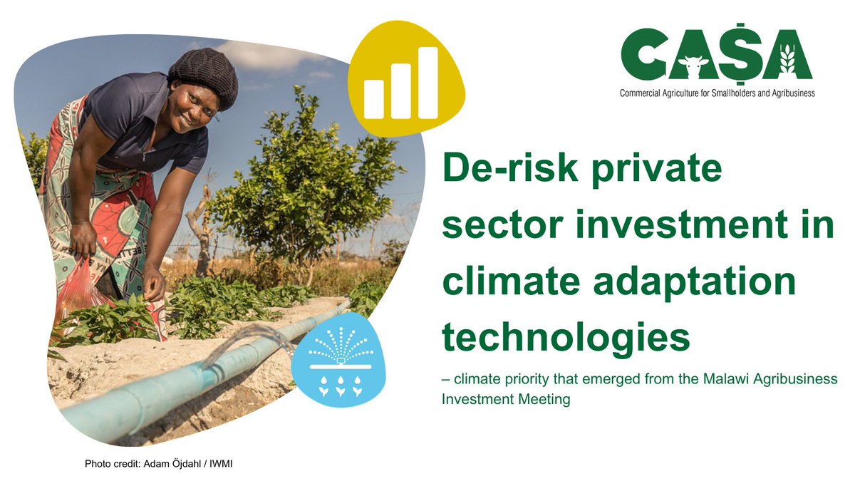 CasaProgramme's tweet image. Private sector investment in climate adaptation tech can be de-risked by:
🟢 Encouraging involvement of private sector through tax incentives & guarantee schemes
🟢Analyzing potential financing impact and roll out government-led incentives
Read more▶️ bit.ly/Malawi-investm…