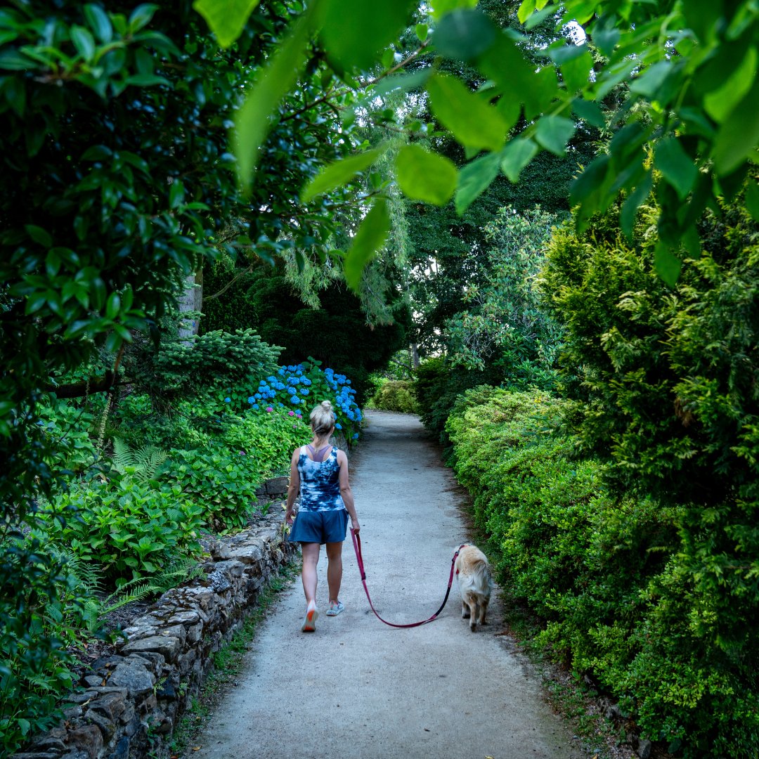 Remember that we are a dog friendly venue and love to see you and your furry family members out for waggy walks within our grounds. Please remember to maintain a short lead and pick up after them when nature calls 😉🐾