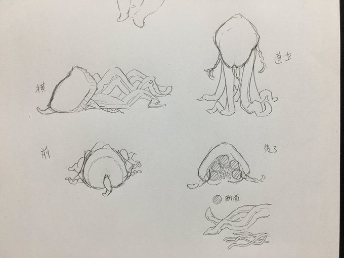 昔描いた落書き

この子のデカぬいぐるみ作りたい 