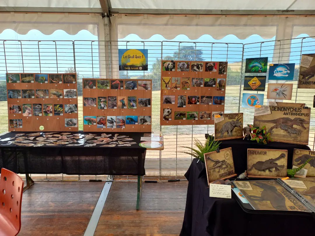 🦆 Cédrik JURASSIK 🌿 tweet media