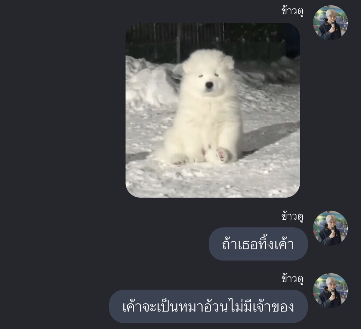 อยากร้องไห้ น่ารักมาก ม๋าอ้วร 😭😭😭