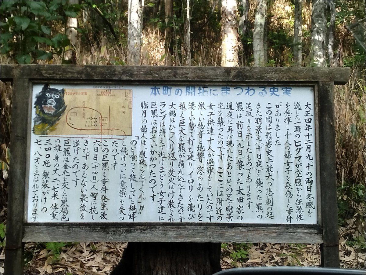 eshi_ko's tweet photo. ずっと気になっていた地へ。思ってたより熊大きかった。 https://t.co/1521Wnaa2I