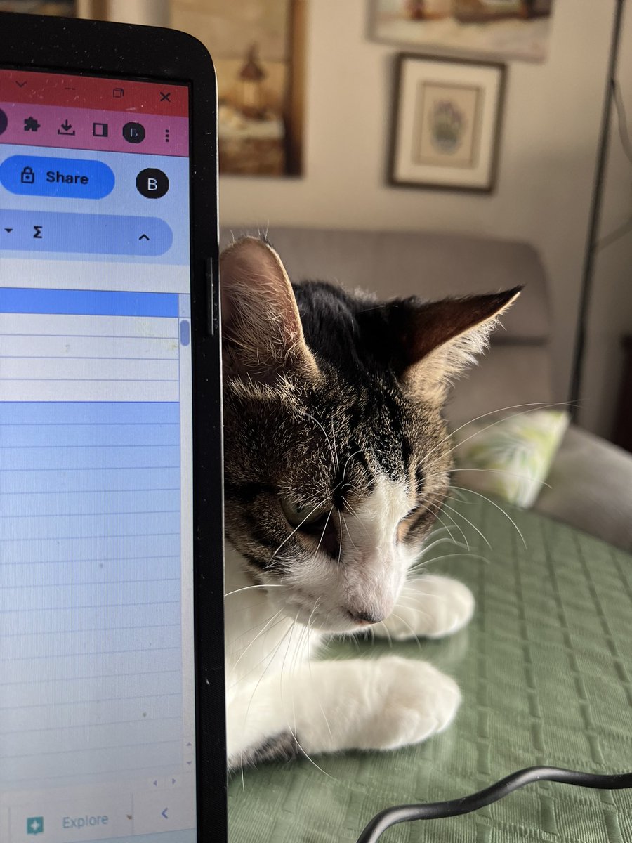 begoodgarcia's tweet image. Compañeros de trabajo.
#PepeTheCat