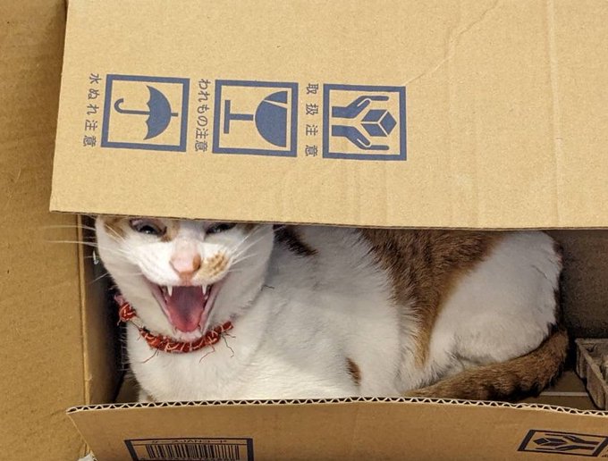 Twitterのコスプレ画像41