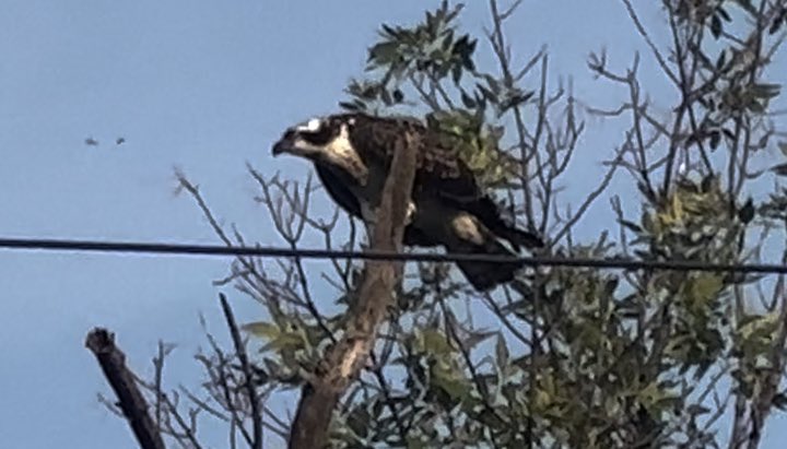 Jennifer Griswold tweet media