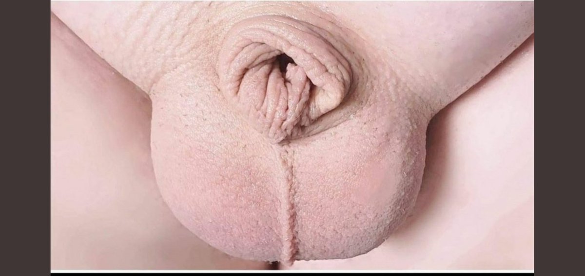 MineSev29129967's tweet photo. Dıştan bakıldığında 53 yaşında bir adamım ama yatak odasında azgın kadın gibi bir doyumsuz pasifim @corlu_gay_men @gayarabul @gayflix897 @Gayturkplatfor @gayilan3 @TurkEscinsel @turkgayara1 @TurkGayChat https://t.co/uoc2WAaPzP