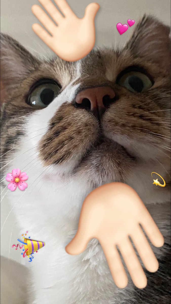 우ㄹ르르ㄹㄹㄹ 까꿍!