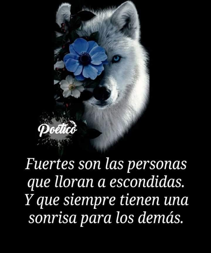 lolamorene's tweet photo. https://t.co/WtXviNaHAa