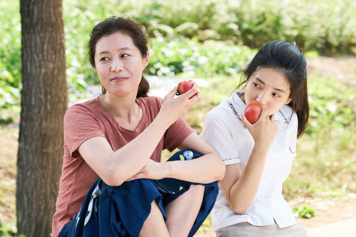 taerizm424's tweet photo. 김태리 X 문소리 조합 작품 하나씩 추가 되는거 개좋아ㅋㅋㅋㅋㅋㅋ

아가씨: 와이프의 이모
1987: 같이 데모하는 사이
리틀포레스트: 엄마
정년이: 엄마 <<<NEW!! https://t.co/lG80tP9kMe