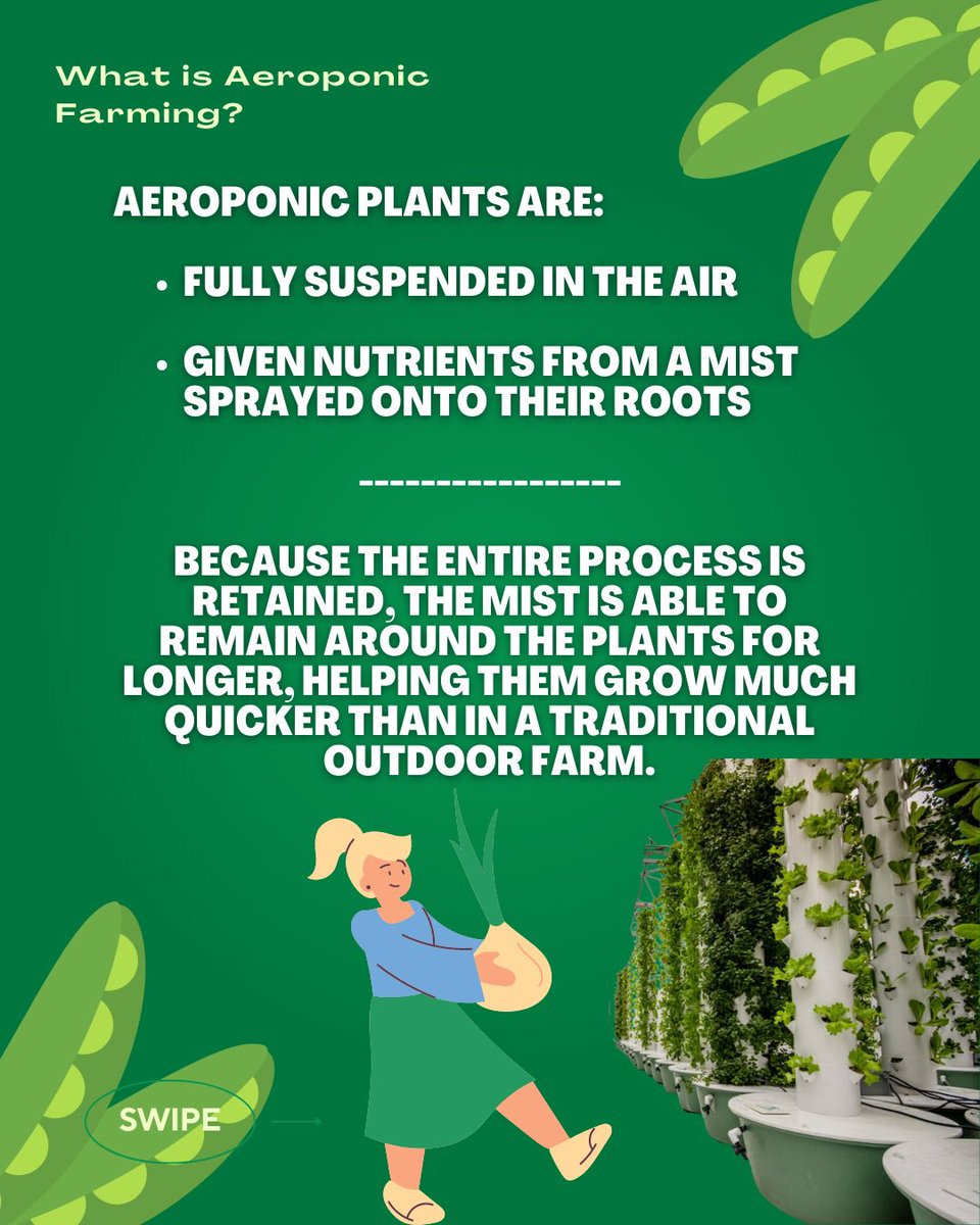 mst_sustainable's tweet image. Both have their benefits, but which do you think is best ⁉️⁉️⁉️ Comment Below‼️ 🗣️🗣️ #StaySUSE 🕵️🔥