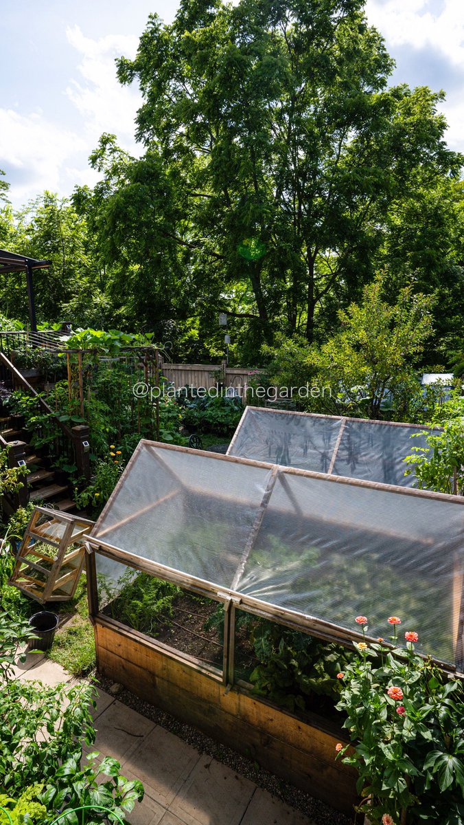 planted_garden's tweet photo. Transform your outdoor space with garden beds! Not only do they add beauty to your yard, but they also provide a practical solution for growing your own fresh produce. https://t.co/JThRqYkIR7