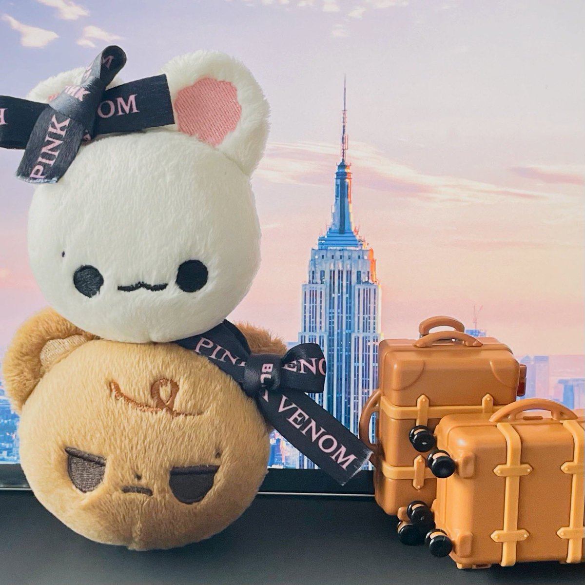 ninizcute's tweet photo. 아메리카 앙콘 레쭈고 🇺🇸✈️ https://t.co/TpMmGjodH4