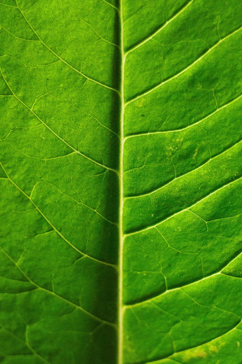 oxyretronave tweet media