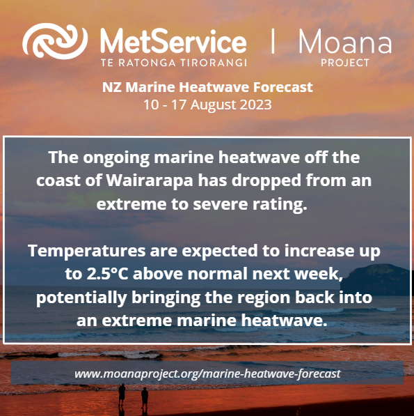 An extreme marine heatwave may return off the coast of Wairarapa next week, while coastal water temperatures are lower than the long-term average in the Hauraki Gulf.

Check out more about this weeks #MarineHeatwaveForecast here: moanaproject.org/marine-heatwav…