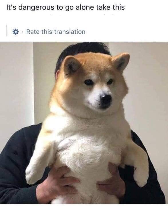 WholesomeMemes tweet media