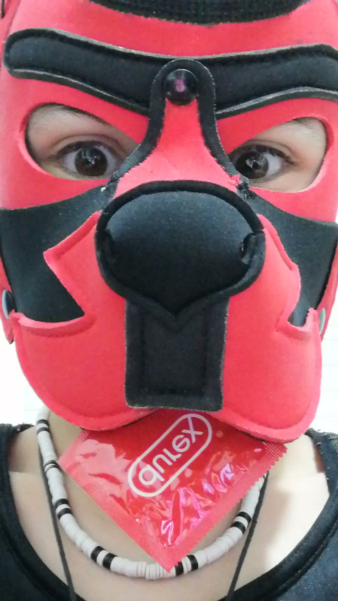 use durex for safe sex :p
#nsfw #furry #puppyplay #sex #gay #LGBTQ #bdsm