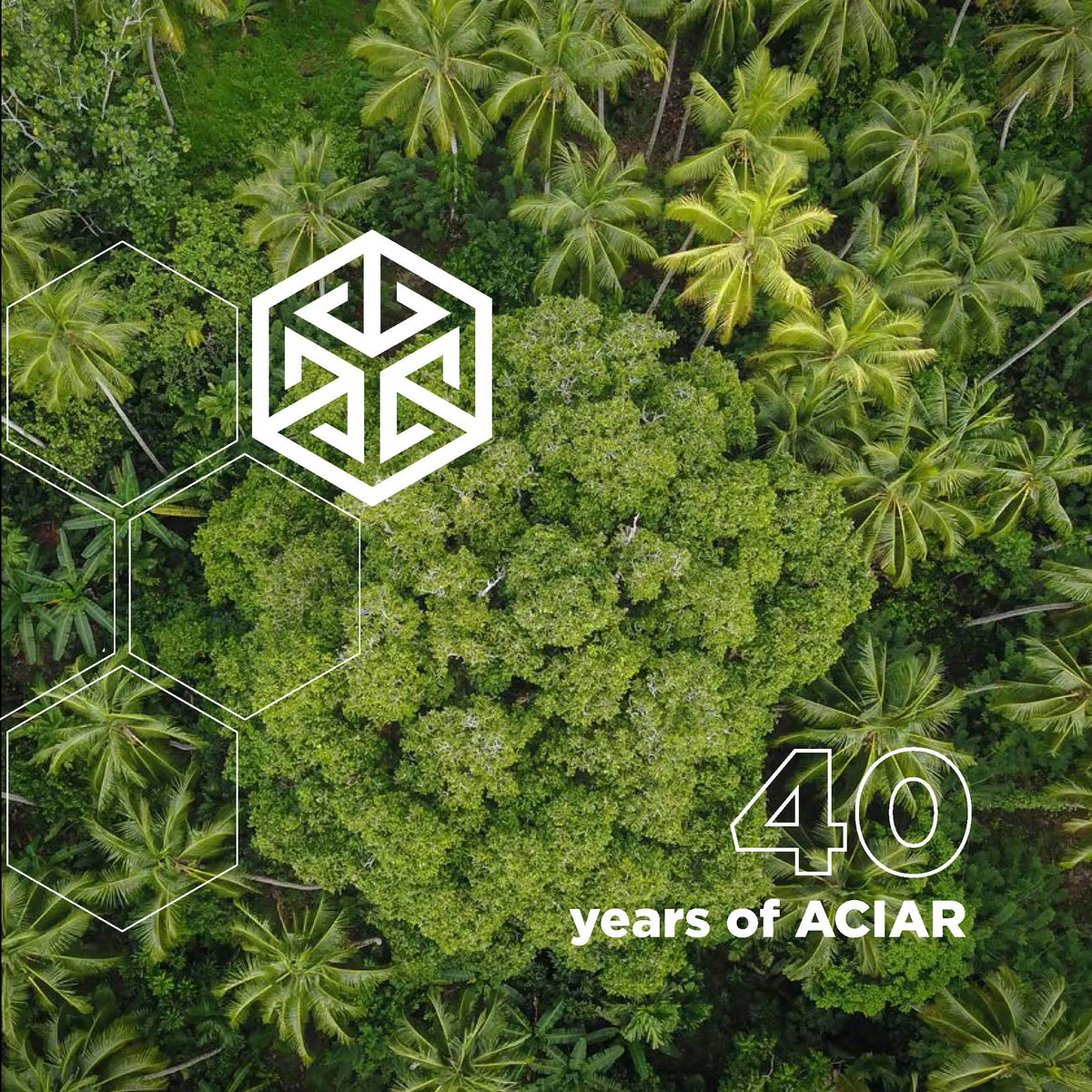 Since 1982, ACIAR has supported Australia's contribution to reducing poverty and improving livelihoods in the #IndoPacific.
A new book captures the #ACIAR story, highlighting some of the many partnerships, projects and people.
Order now at bit.ly/3DN2WJz
#ACIAR40
