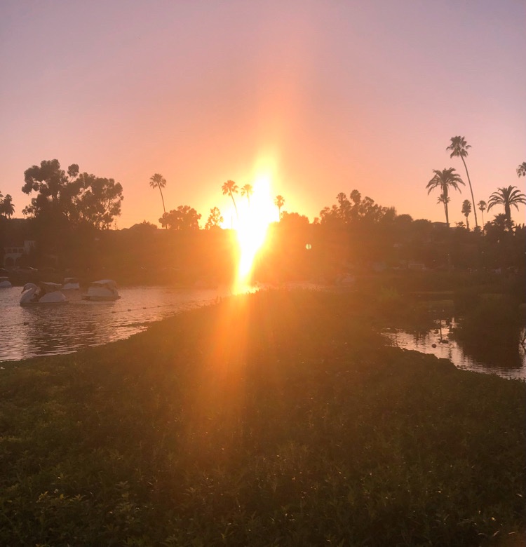 laurajauld's tweet photo. The sun is setting☀️🌅
#brightsun #sunset #sunshine https://t.co/vblrWsKvoT
