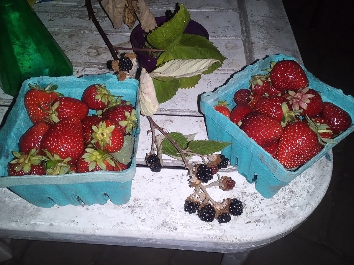 Thomas Andrew Rothschild (@tommyroth30) on Twitter photo 