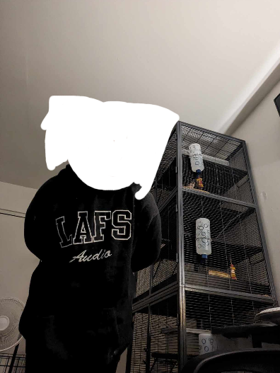 //sid's hoodie but make it IRL !!!!!